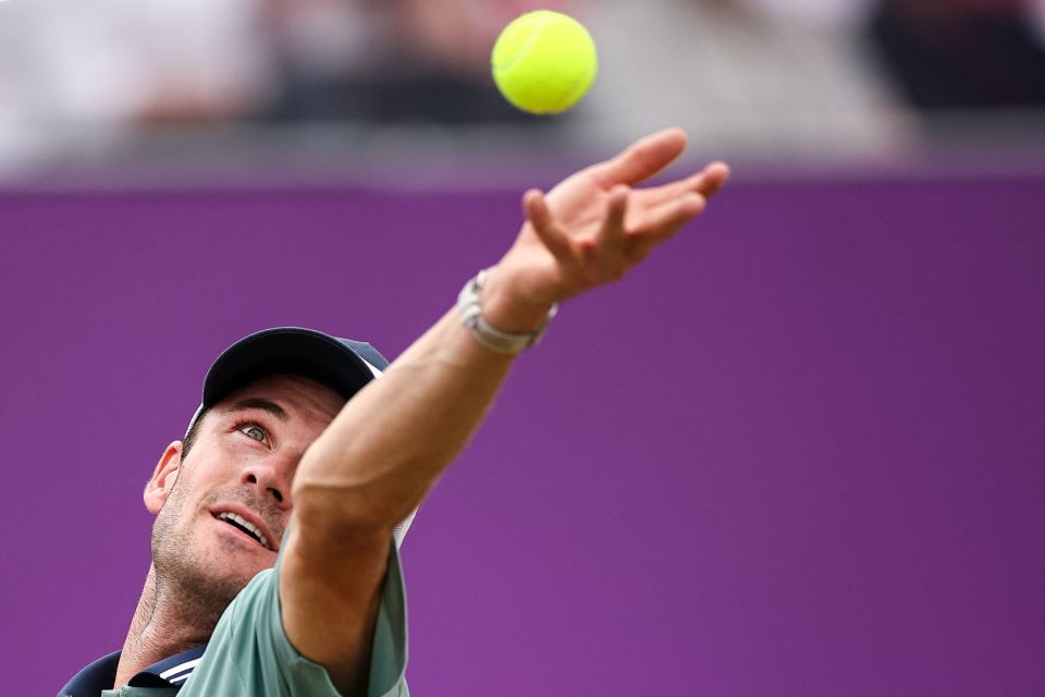 案更加关注 案更加关注